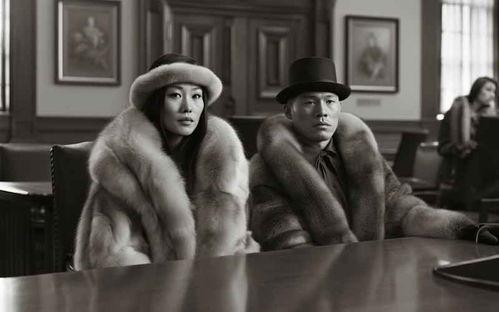 黑狐电视剧免费观看,揭秘神秘特工传奇，免费观看尽享谍战风云