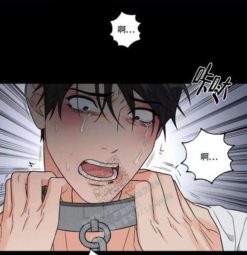 bl漫画打包下载,轻松收藏心仪作品